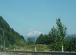 Mt. Hood